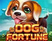 DOG FORTUNE MC